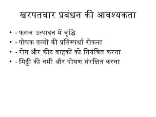 Integrated_Weed_Management_Detailed_Hindi_PPT.pptx