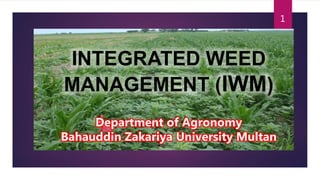 INTEGRATED WEED
MANAGEMENT (IWM)
1
Department of Agronomy
Bahauddin Zakariya University Multan
 