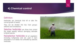 4) Chemical control
Definition:
Herbicides are chemicals that kill or alter the
normal growth of weeds.
They can be divided into two main groups:
selective and nonselective.
Selective herbicides are those that control
the target weed(s) without damaging desirable
turfgrass species.
Nonselective herbicides kill all vegetation
(including turfgrasses) and are used in lawn
renovation or on weeds not controlled by selective
herbicides.
16
 