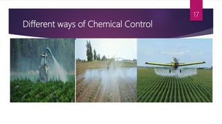 Different ways of Chemical Control
17
 