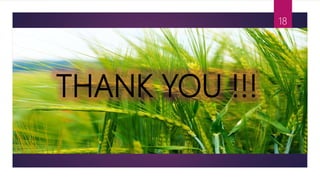 THANK YOU !!!
18
 