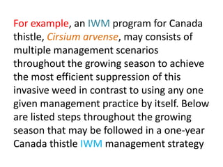 For example, an IWM program for Canada
thistle, Cirsium arvense, may consists of
multiple management scenarios
throughout the growing season to achieve
the most efficient suppression of this
invasive weed in contrast to using any one
given management practice by itself. Below
are listed steps throughout the growing
season that may be followed in a one-year
Canada thistle IWM management strategy
 