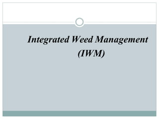 Integrated Weed Management
(IWM)
 