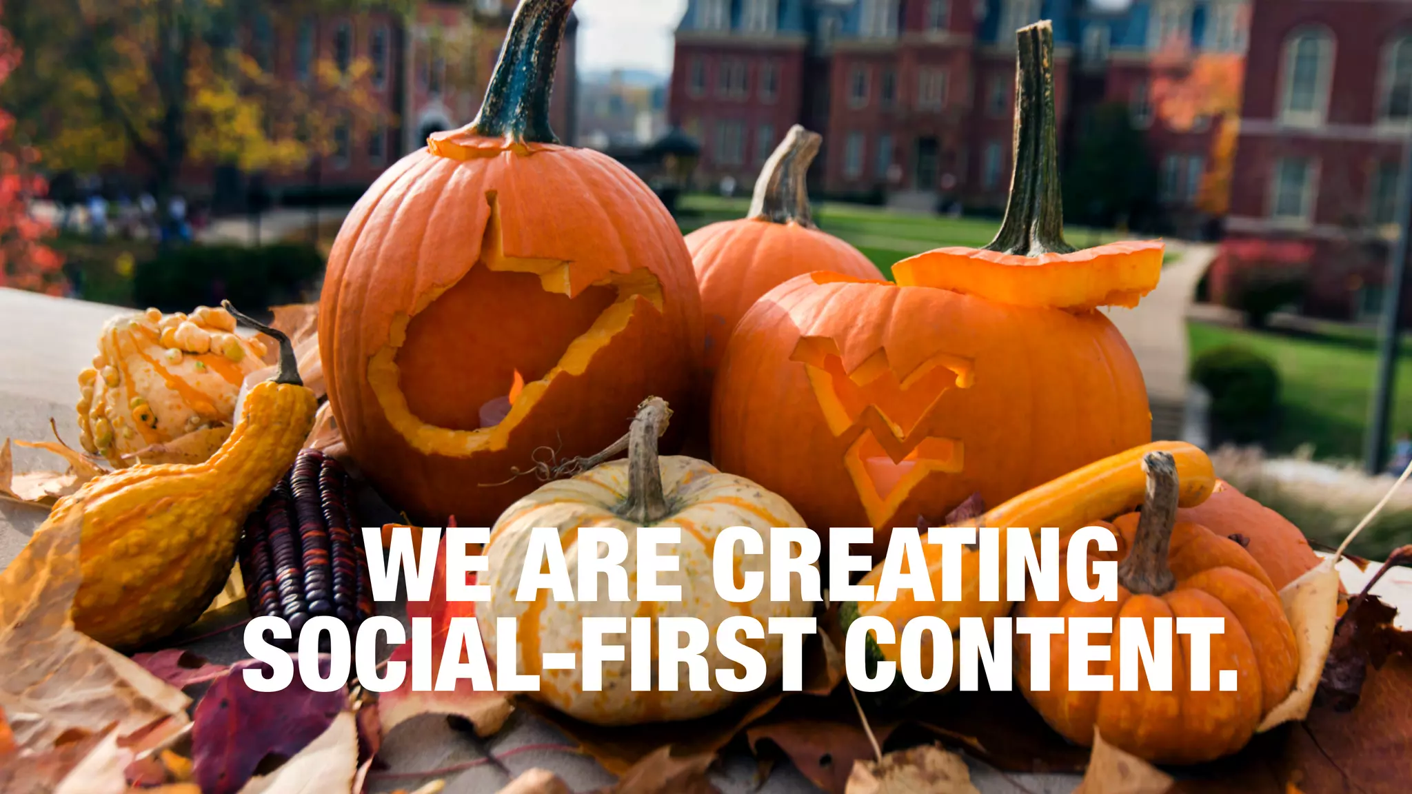 WE ARE CREATING
SOCIAL-FIRST CONTENT.
 