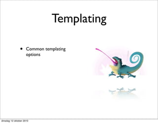 Templating

               •     Common templating
                     options




dinsdag 12 oktober 2010
 