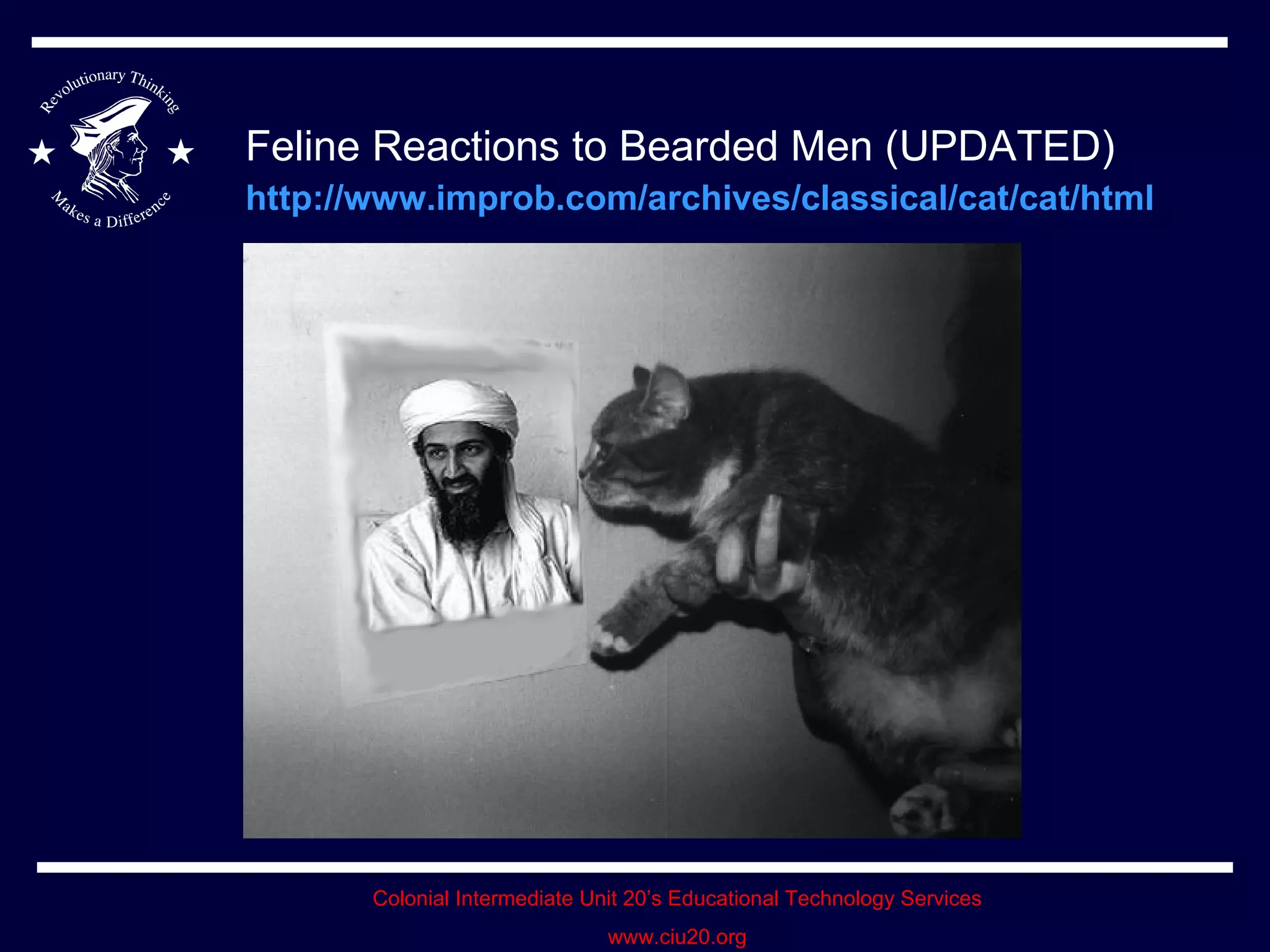 Feline Reactions to Bearded Men (UPDATED)   http://www.improb.com/archives/classical/cat/cat/html   