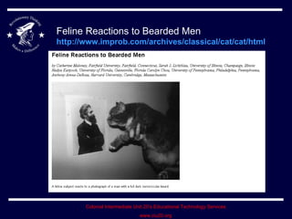 Feline Reactions to Bearded Men http://www.improb.com/archives/classical/cat/cat/html   