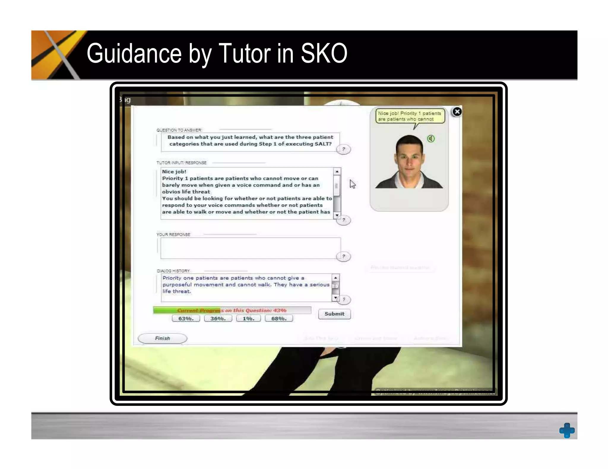 Guidance by Tutor in SKO
 