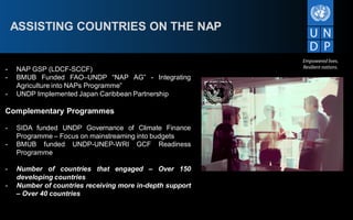 Integrating climate change into national planning | PDF