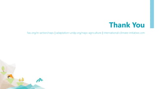 fao.org/in-action/naps | adaptation-undp.org/naps-agriculture | international-climate-initiative.com
Thank You
 