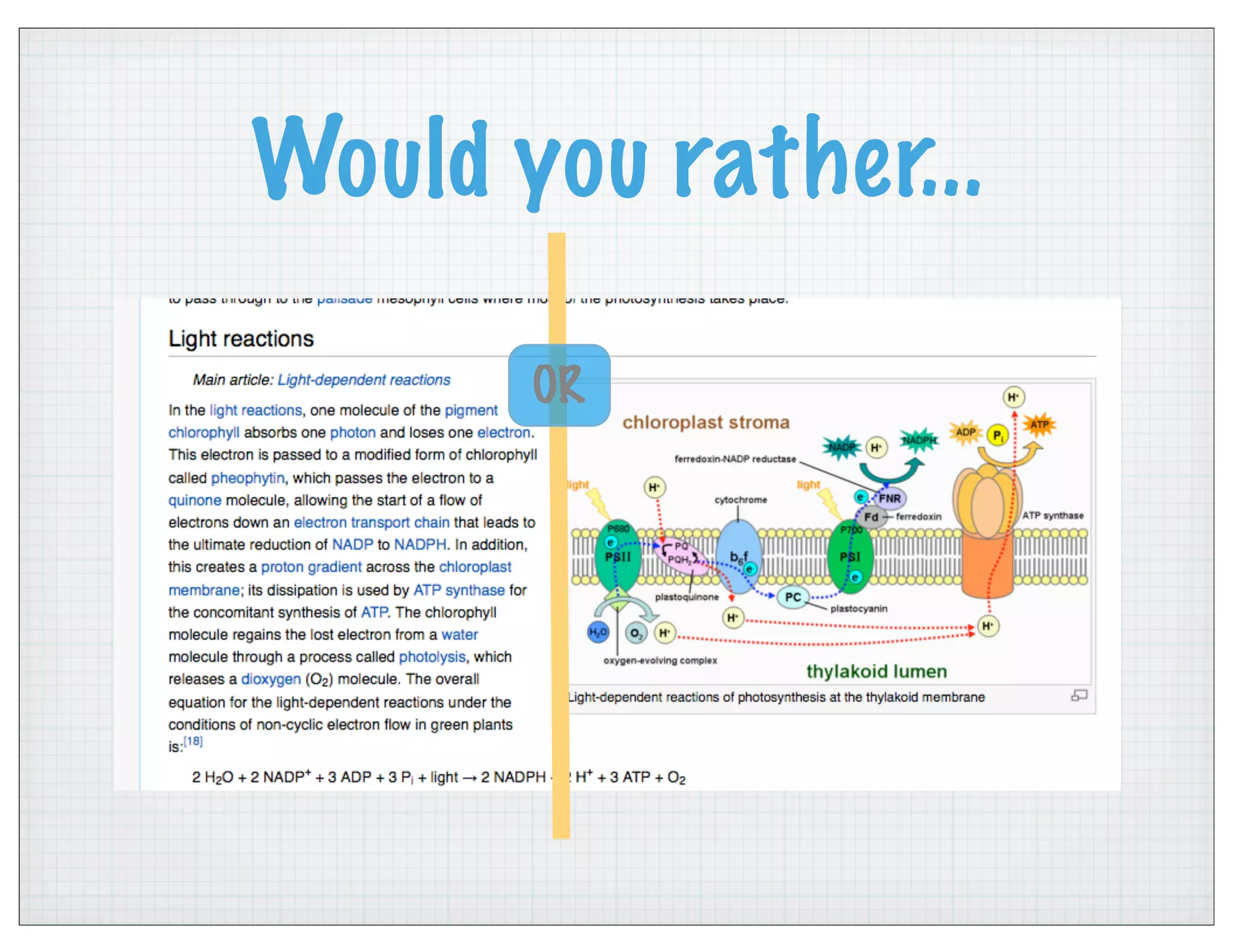 Would you rather...
OR
 