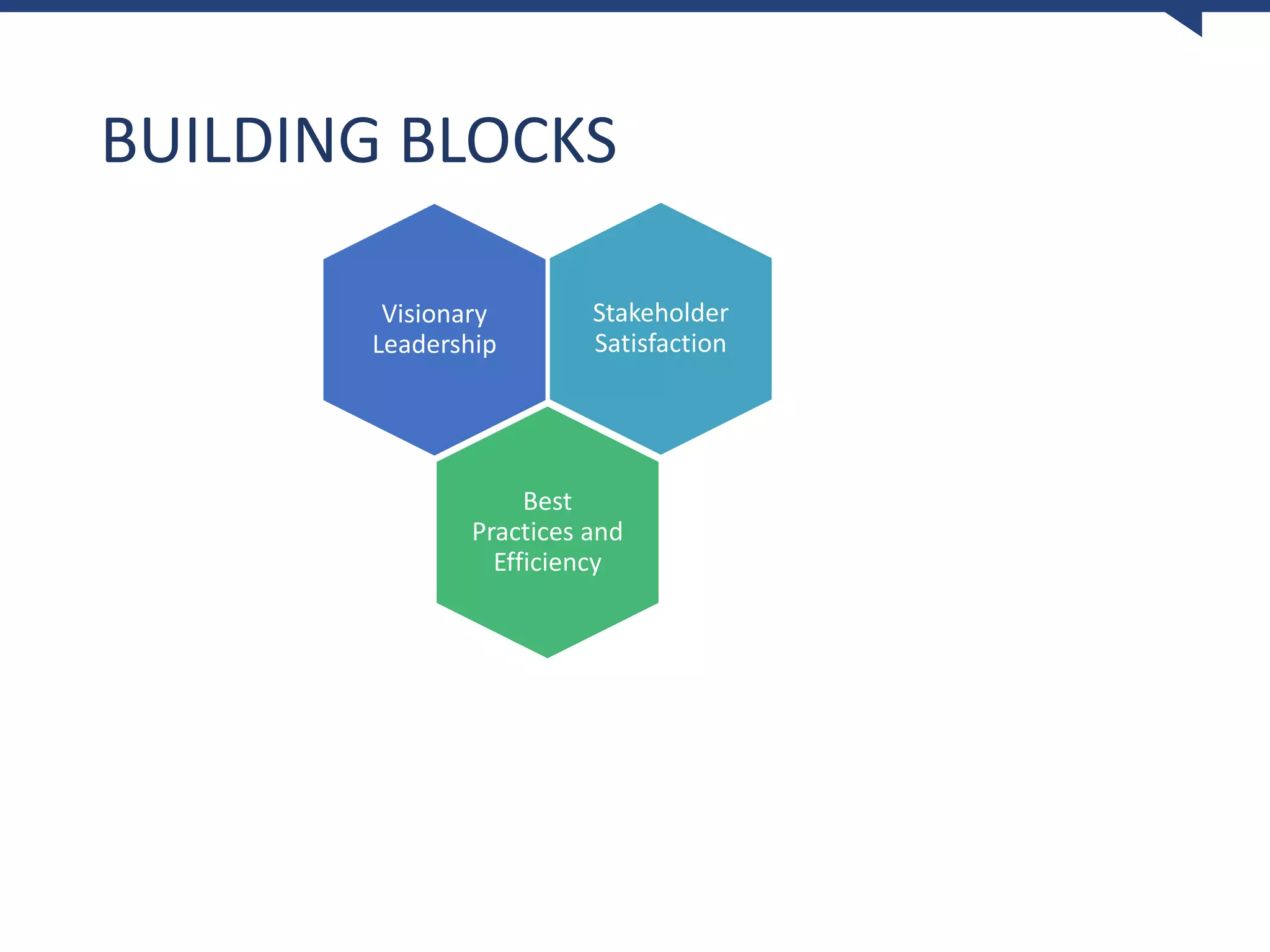 BUILDING BLOCKS
Visionary
Leadership
Stakeholder
Satisfaction
Best
Practices and
Efficiency
 