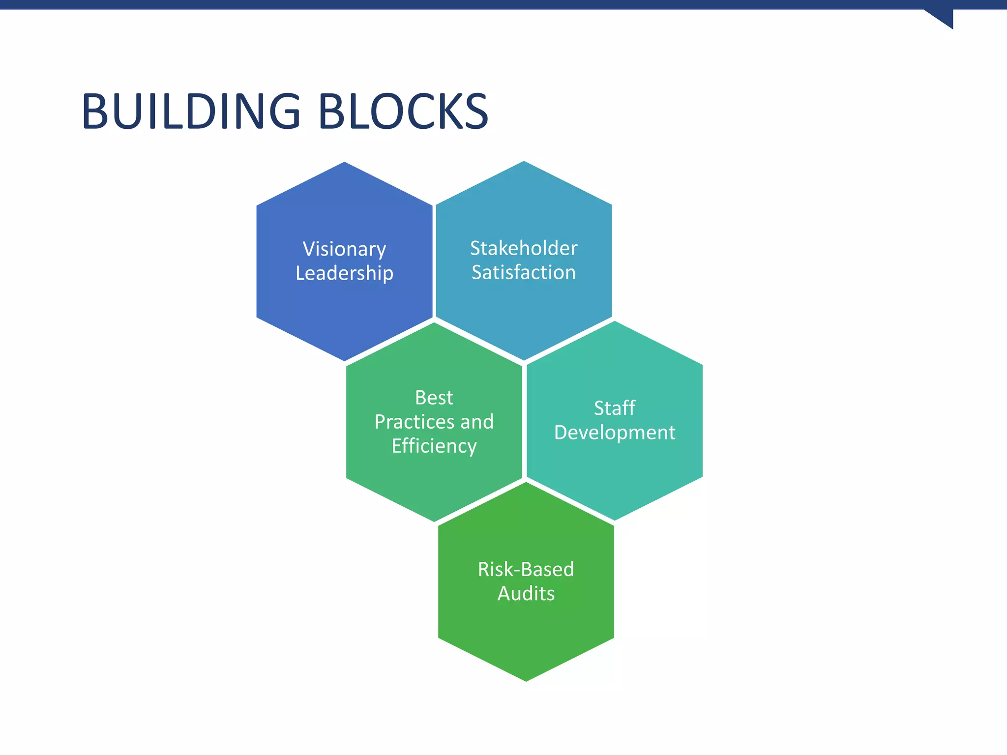 BUILDING BLOCKS
Visionary
Leadership
Stakeholder
Satisfaction
Staff
Development
Best
Practices and
Efficiency
Risk-Based
Audits
 