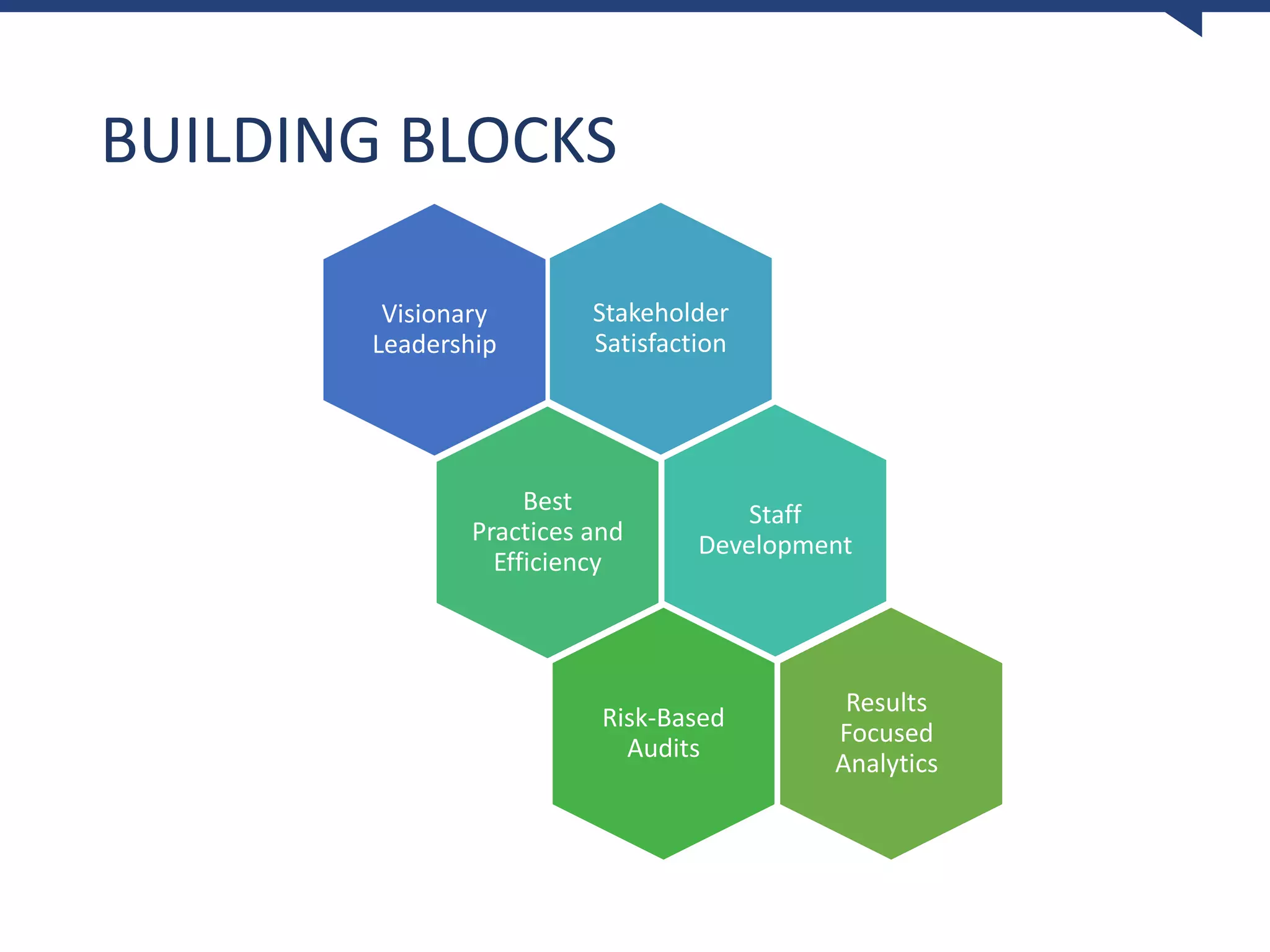 BUILDING BLOCKS
Visionary
Leadership
Stakeholder
Satisfaction
Staff
Development
Best
Practices and
Efficiency
Risk-Based
Audits
Results
Focused
Analytics
 