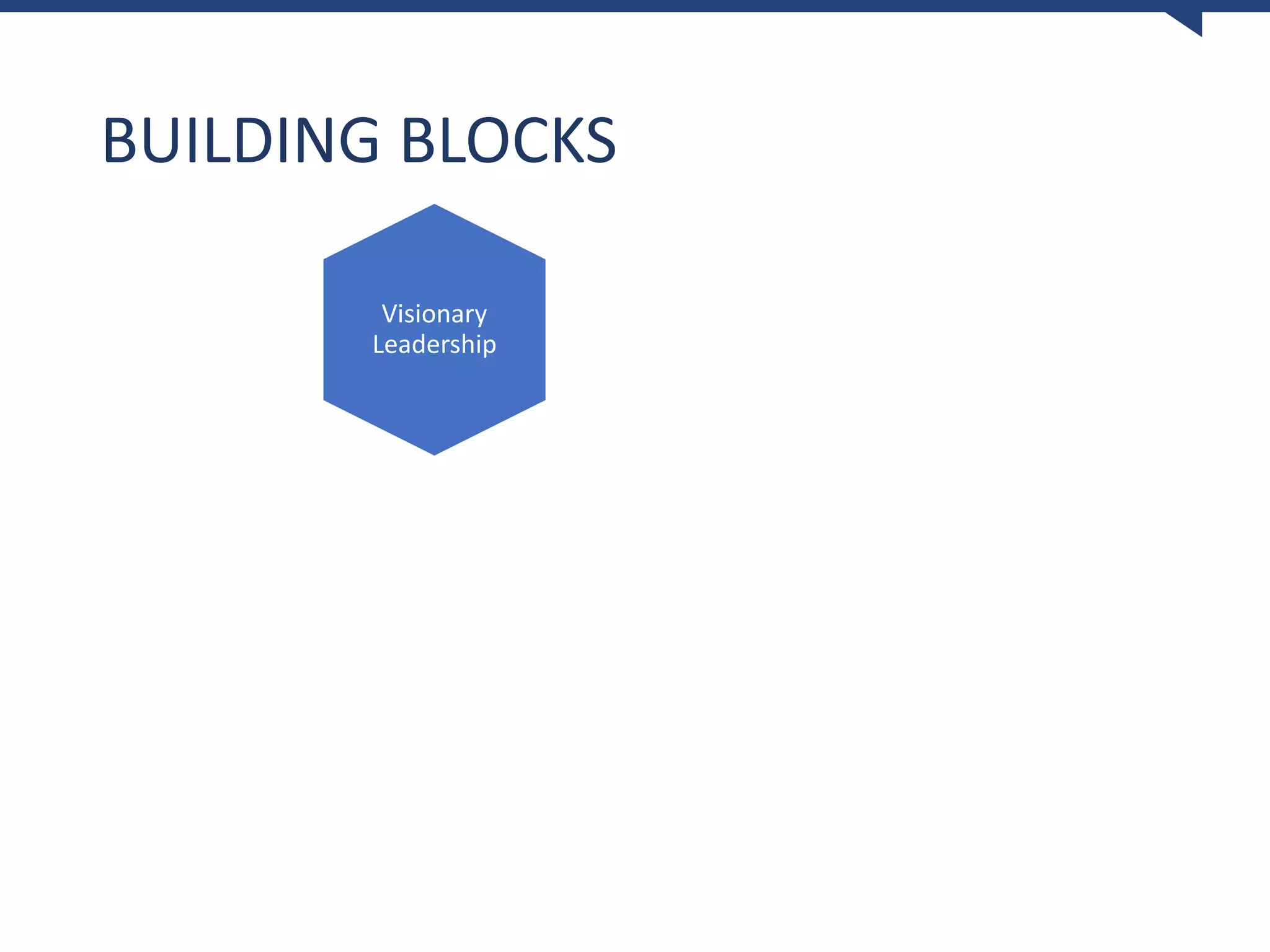 BUILDING BLOCKS
Visionary
Leadership
 