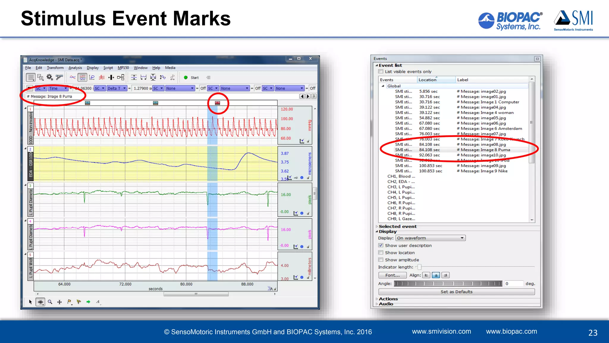 Stimulus Event Marks
www.smivision.com www.biopac.com 23© SensoMotoric Instruments GmbH and BIOPAC Systems, Inc. 2016
 