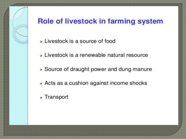 integrating farming system a lecture by mr allah dad khan visiting 23