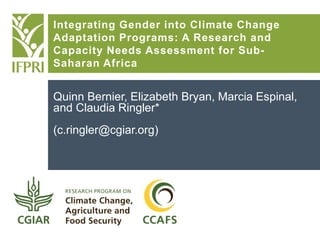 Quinn Bernier, Elizabeth Bryan, Marcia Espinal,
and Claudia Ringler*
(c.ringler@cgiar.org)
Integrating Gender into Climate Change
Adaptation Programs: A Research and
Capacity Needs Assessment for Sub-
Saharan Africa
 