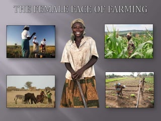 Integrating gender into livestock programs in Southeast Asia