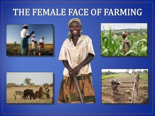 Modernizing extension and advisory services