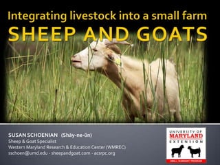 SUSAN SCHOENIAN (Shāy-ne-ŭn)
Sheep & Goat Specialist
Western Maryland Research & Education Center (WMREC)
sschoen@umd.edu - sheepandgoat.com - wormx.info
 
