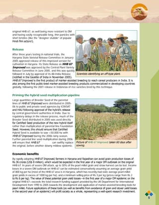 Integrating mas and conventional breeding for downy mildew resistance