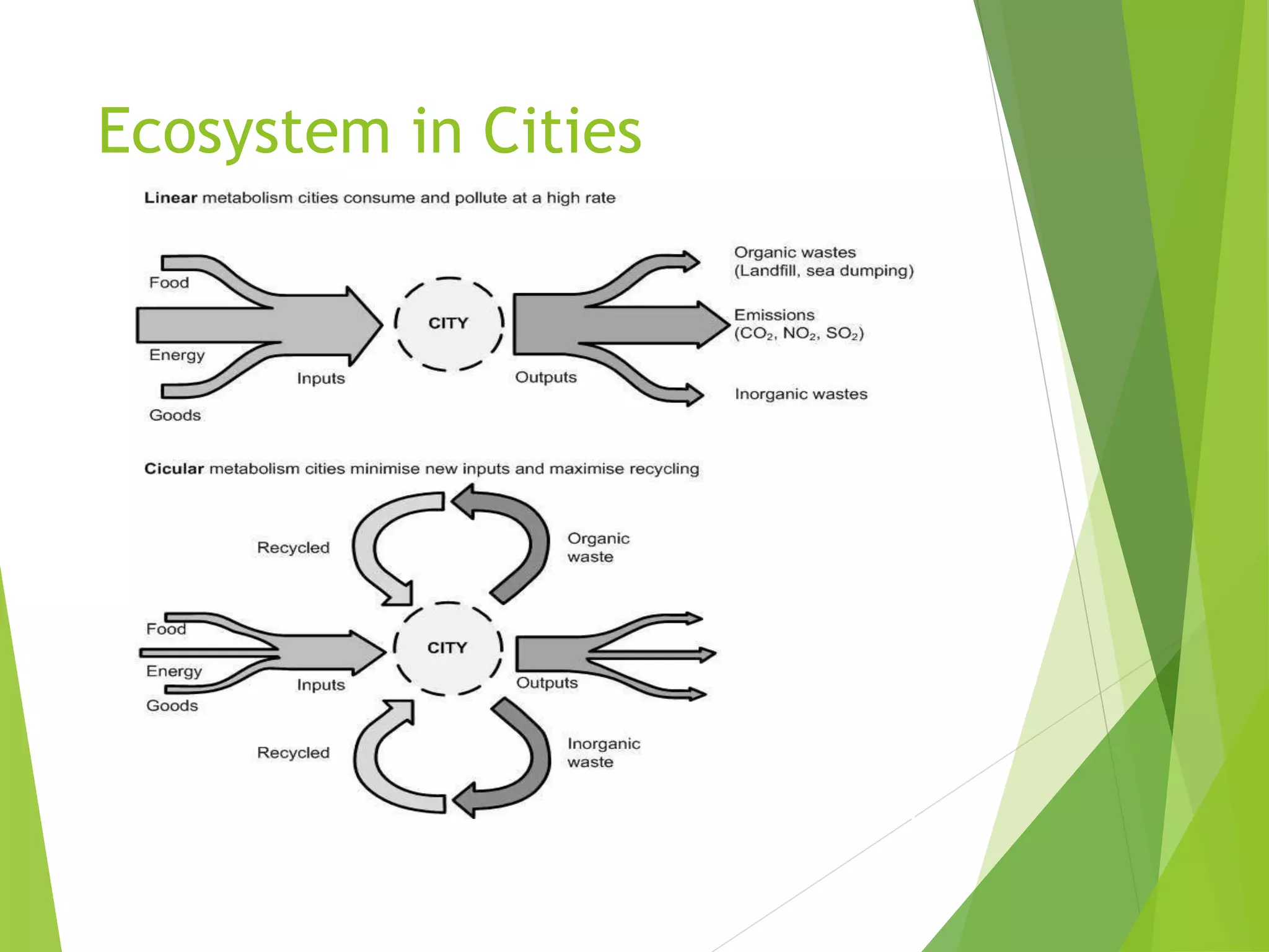 Ecosystem in Cities
 