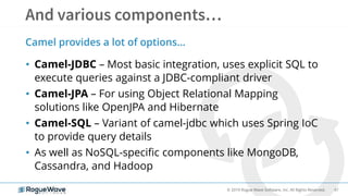 47© 2019 Rogue Wave Software, Inc. All Rights Reserved.
• Camel-JDBC – Most basic integration, uses explicit SQL to
execute queries against a JDBC-compliant driver
• Camel-JPA – For using Object Relational Mapping
solutions like OpenJPA and Hibernate
• Camel-SQL – Variant of camel-jdbc which uses Spring IoC
to provide query details
• As well as NoSQL-specific components like MongoDB,
Cassandra, and Hadoop
Camel provides a lot of options…
 