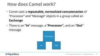 48© 2019 Rogue Wave Software, Inc. All Rights Reserved.
• Camel uses a repeatable, normalized concatenation of
“Processor” and ”Message” objects in a group called an
Exchange
• There is an ”In” message, a “Processor”, and an “Out”
message
Processor
In Out
 