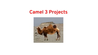 Apache Camel 3 - Projects
Camel K
Camel on
Kubernetes & Knative
Camel
Swiss knife of integration
Camel Spring Boot
Camel o...