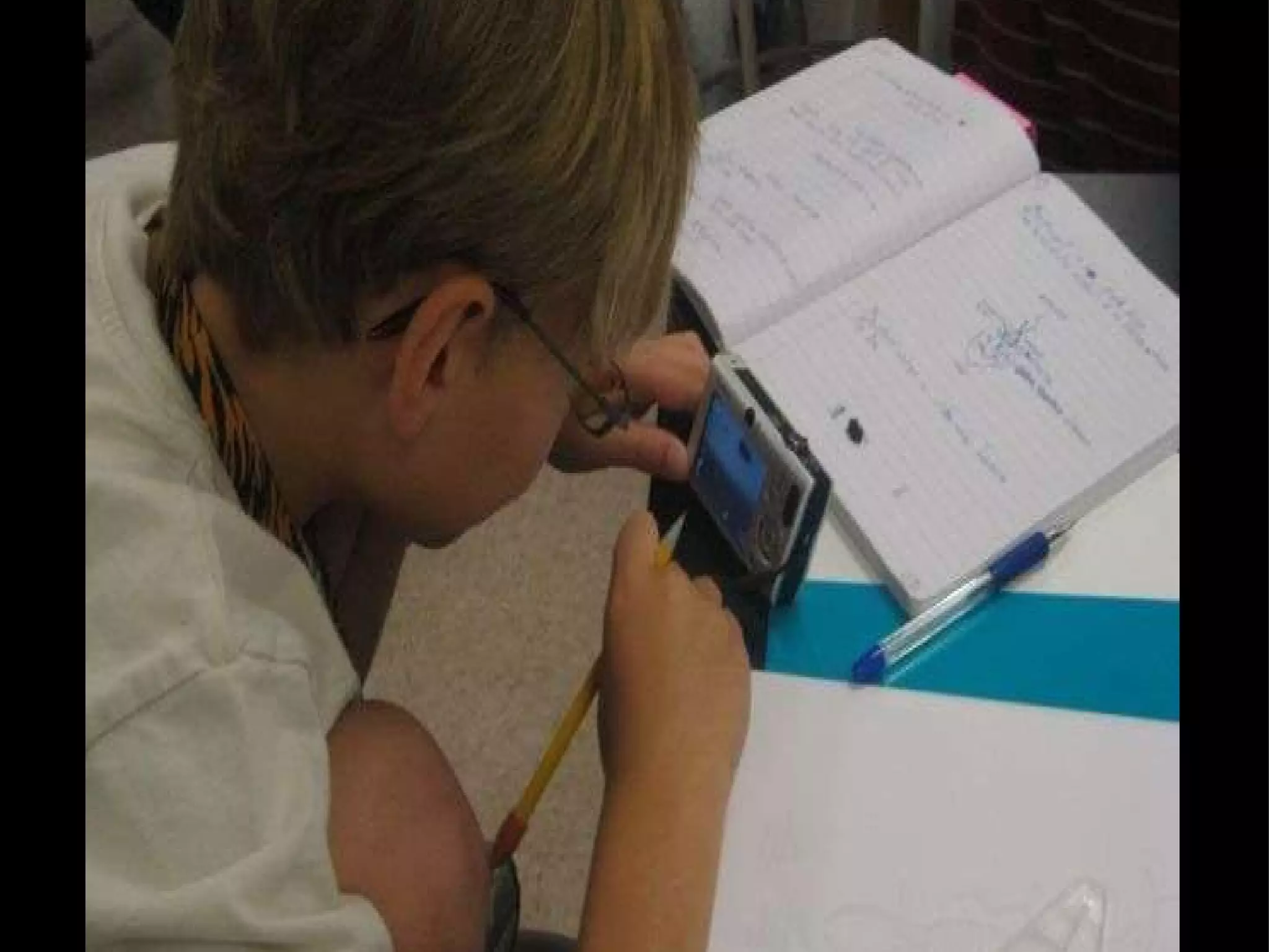 Data Collection 1.0 Observe, write, and draw Record data in science notebook 