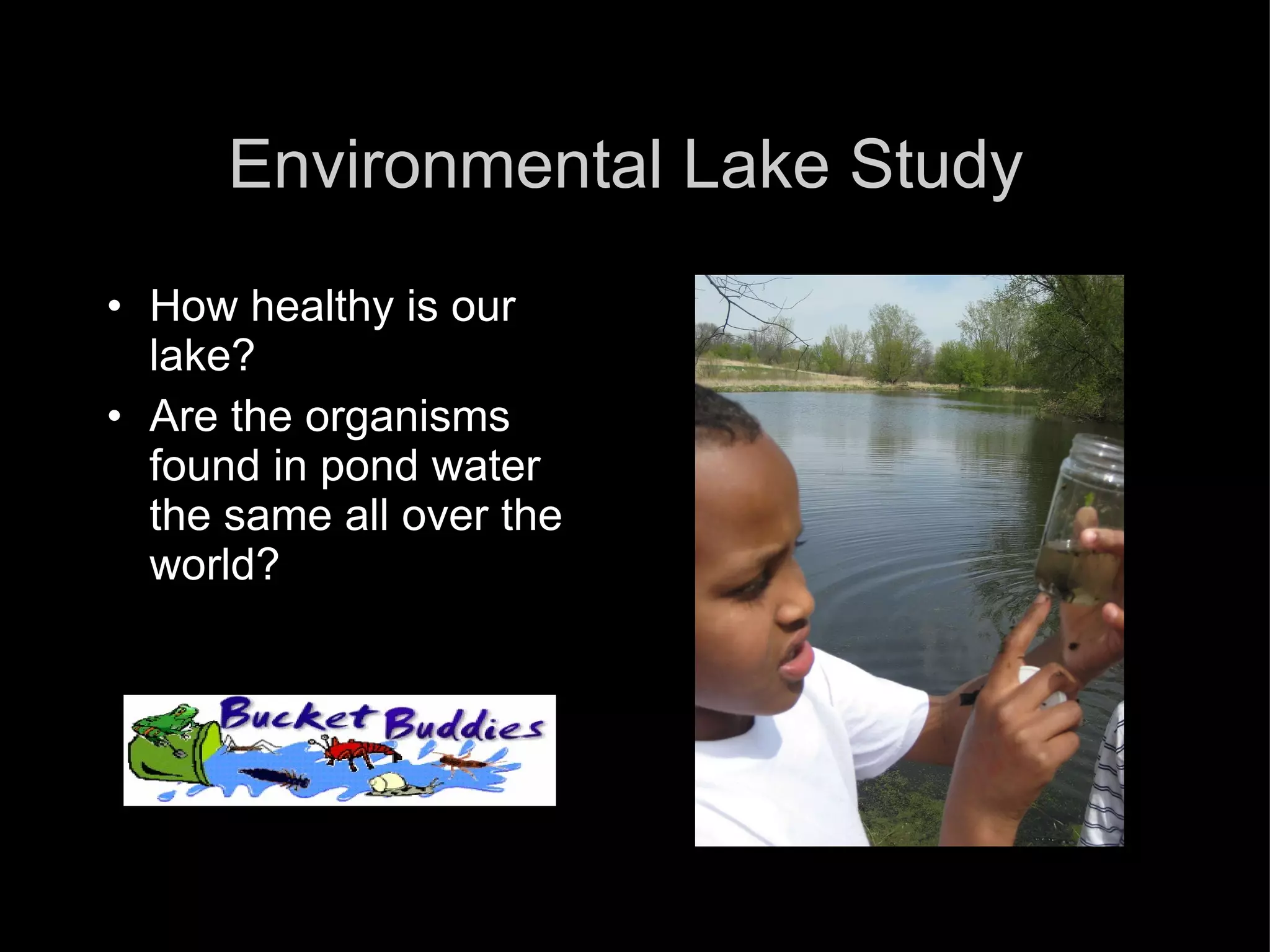 Digital Insect Collection 