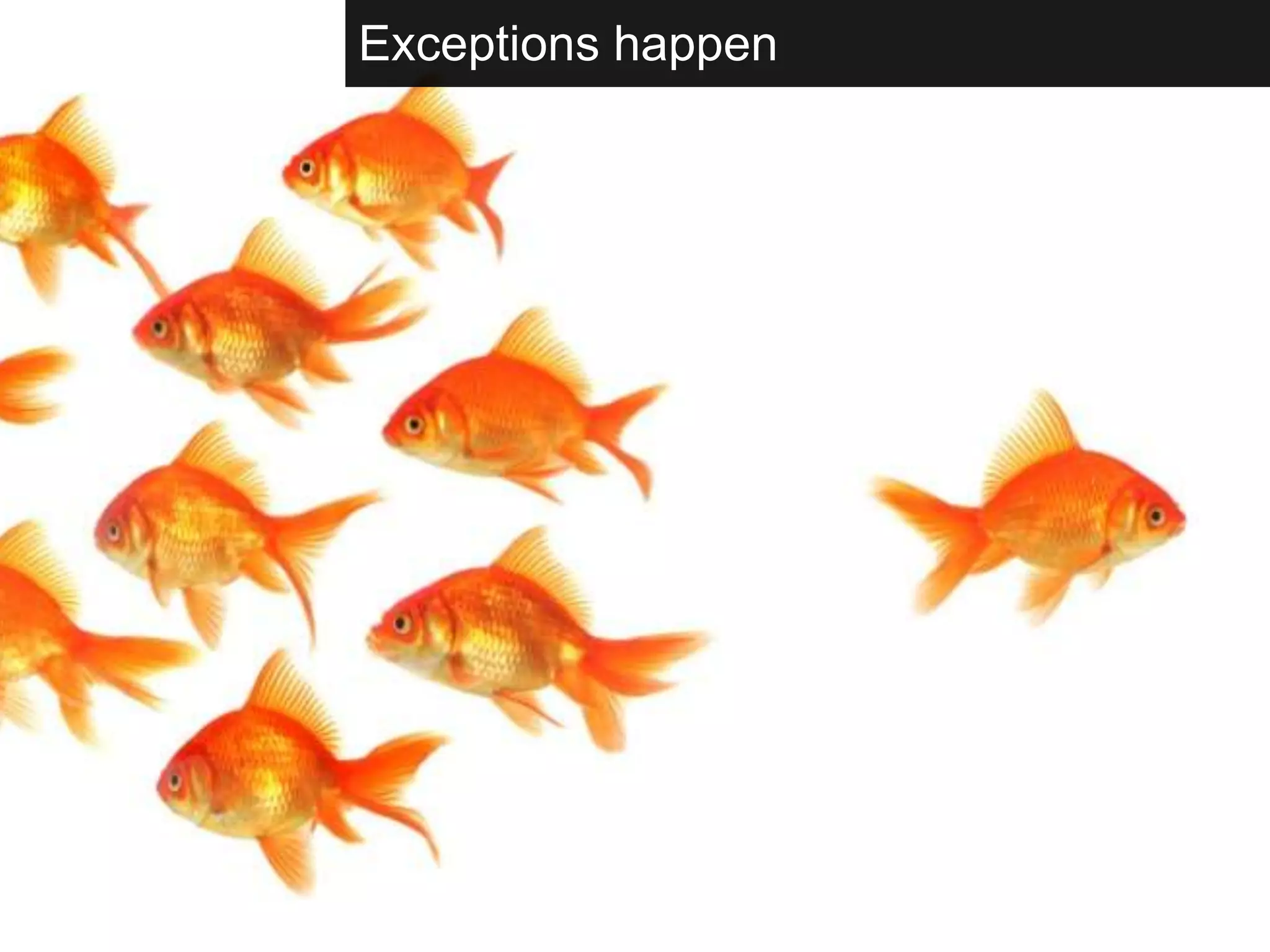 Complexity and Risk: Effective Business Community Management through Integration