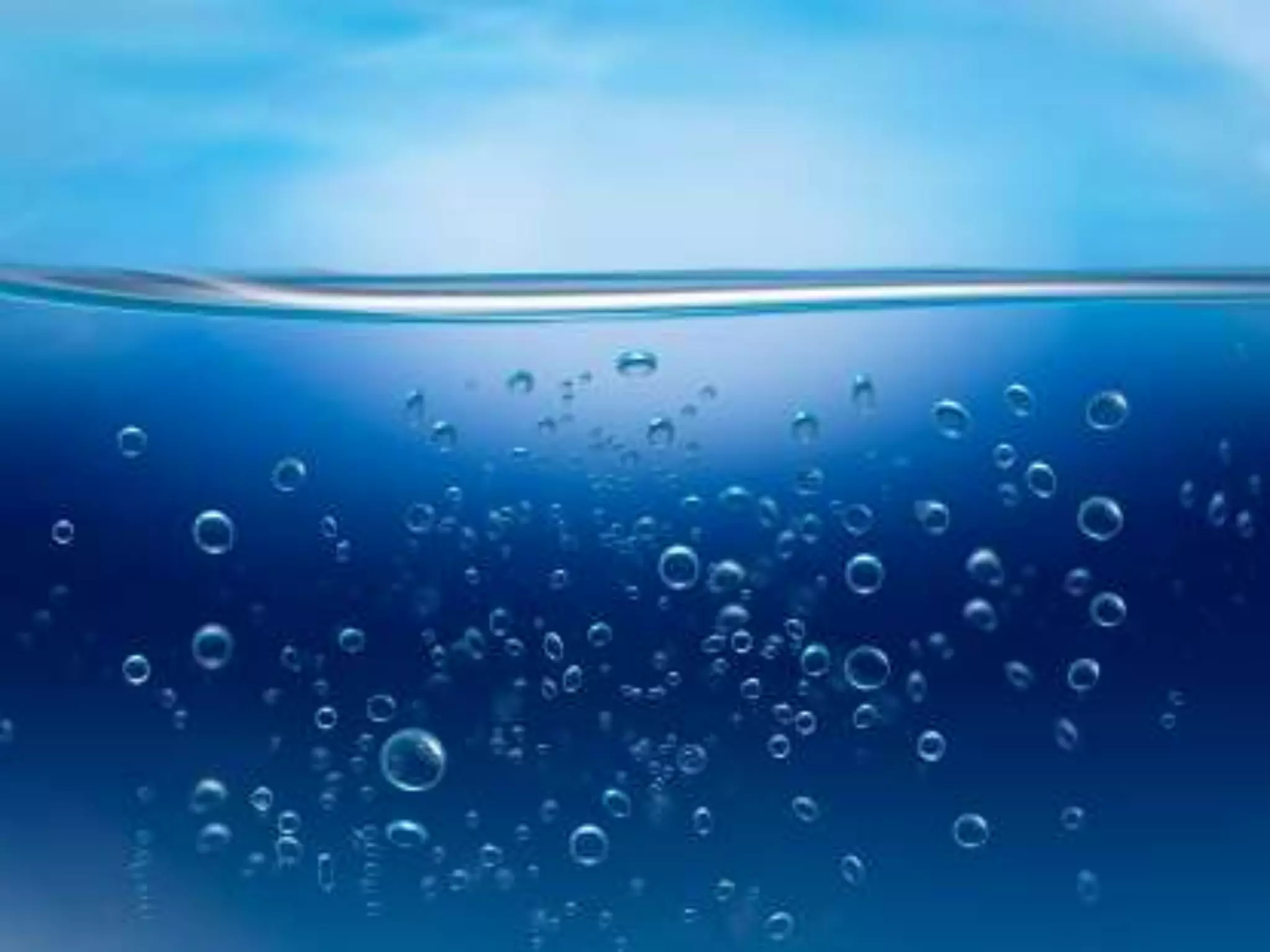 Complexity and Risk: Effective Business Community Management through Integration