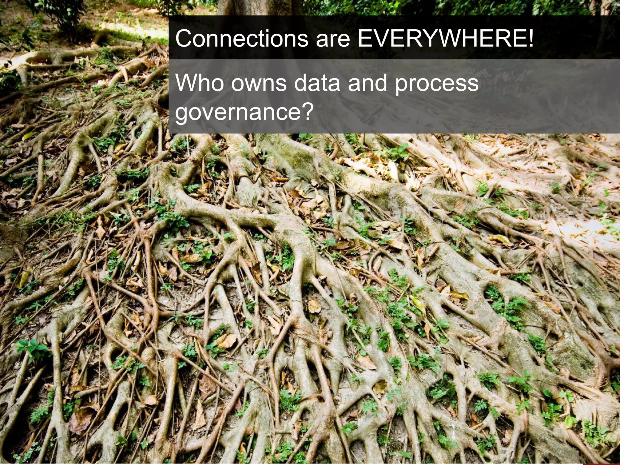 Complexity and Risk: Effective Business Community Management through Integration