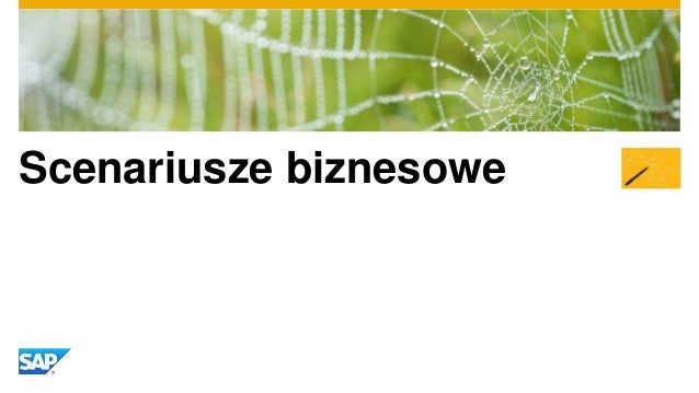 sap business one integration framework pdf