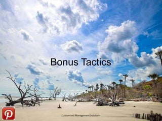 NEW!

Embed Facebook Posts into Blog

Customized Management Solutions

 