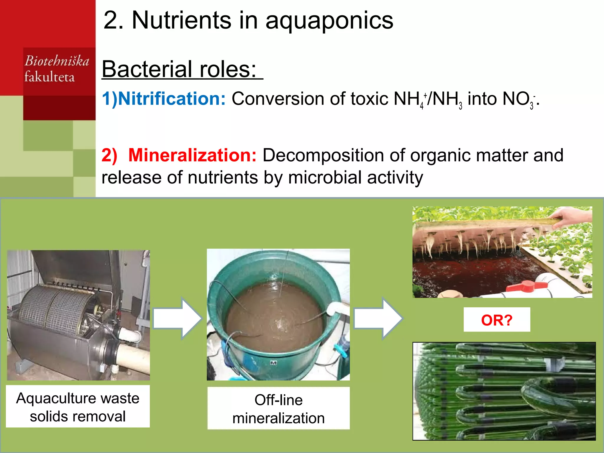 Integration of algae in aquponics | PPT - Nutrient Removal In Small Aquaculture Systems
