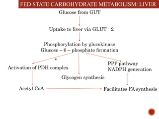 Integration of metabolism | PPTX