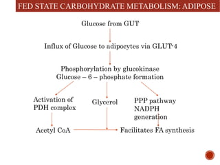 Integration of metabolism | PPTX