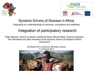 Dynamic Drivers of Disease in Africa Integrating our understandings of zoonoses, ecosystems and wellbeing 
Integration of participatory research 
Peter Atkinson, Gianni Lo Iacono, Catherine Grant, Bernard Bett, Vupenyu Dzingirai, Tom Winnebah and other members of the Dynamic Drivers of Disease in Africa Consortium 
EcoHealth 2014 conference, Montreal, Canada 11-15 August 2014  
