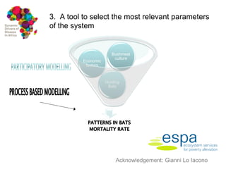 Dynamic drivers of disease in Africa: Integration of participatory research