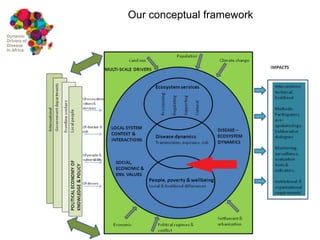 Dynamic drivers of disease in Africa: Integration of participatory research