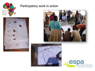 Dynamic drivers of disease in Africa: Integration of participatory research