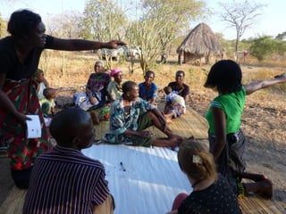 Dynamic drivers of disease in Africa: Integration of participatory research