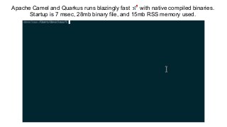 Apache Camel and Quarkus runs blazingly fast 🚀 with native compiled binaries.
Startup is 7 msec, 28mb binary file, and 15mb RSS memory used.
 