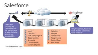 Salesforce
• Leads *
• Contacts *
• SFDC Campaigns *
• Opportunities
• Accounts
• Custom Fields
• Custom Objects
• Activities *
• Merges
• Conversions
• Assignments
• Record Type
• And more…
Only the objects, fields and
leads that the credentials
have access to
Leads and
Contacts are
“normalized” on
the Marketo side
to allow for better
access and
expressibility.
*Bi-directional sync
 