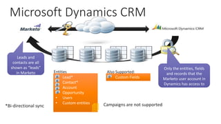 Microsoft Dynamics CRM
• Lead*
• Contact*
• Account
• Opportunity
• Users
• Custom entities
• Custom Fields
Only the entities, fields
and records that the
Marketo user account in
Dynamics has access to
Leads and
contacts are all
shown as “leads”
in Marketo Entities Also Supported:
Campaigns are not supported*Bi-directional sync 
 