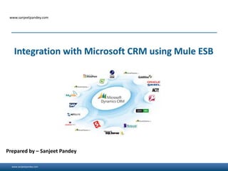 www.sanjeetpandey.com
www.sanjeetpandey.com
Prepared by – Sanjeet Pandey
Integration with Microsoft CRM using Mule ESB
 