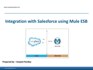 www.sanjeetpandey.com
www.sanjeetpandey.com
Prepared by – Sanjeet Pandey
Integration with Salesforce using Mule ESB
 